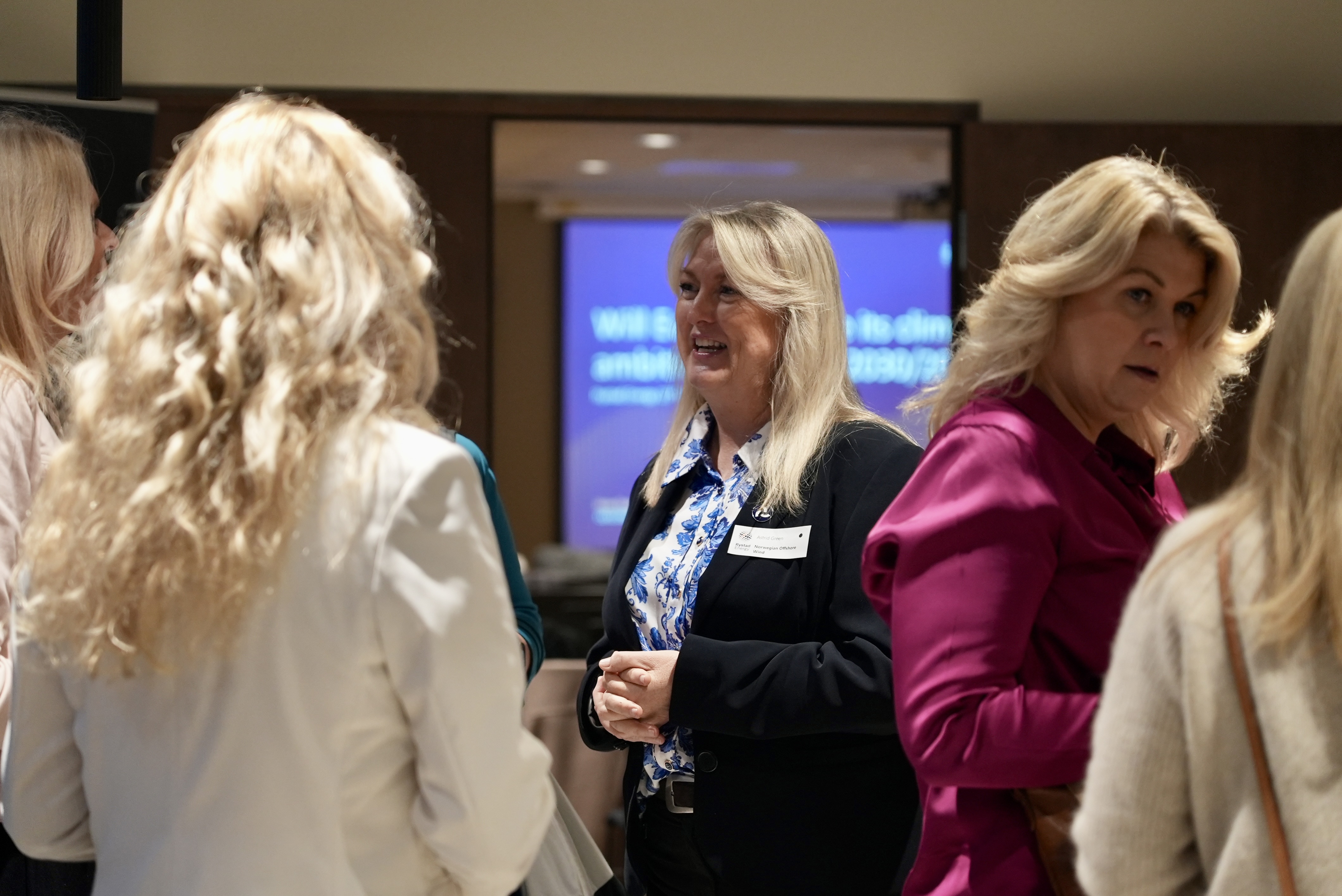 Nettverkssamling i regi av New Energy Women